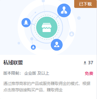 SHOPOEM独立站官网一个插件让你的独立站销售额翻5倍？金字塔模式引流必备插件：私域联盟缩略图SHOPOEM独立站建站