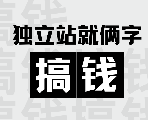 2024年做独立站的人后面都怎么样了？都赚钱了吗？缩略图SHOPOEM独立站建站
