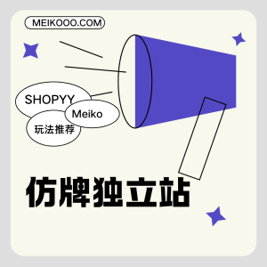 2025年仿牌独立站小白还能做吗？仿牌独立站要怎么做才挣钱？缩略图SHOPOEM独立站建站