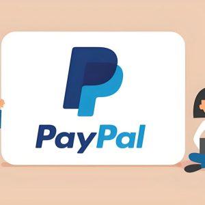 个人PayPal和企业PayPal有什么区别？都能收款吗？缩略图SHOPOEM独立站建站